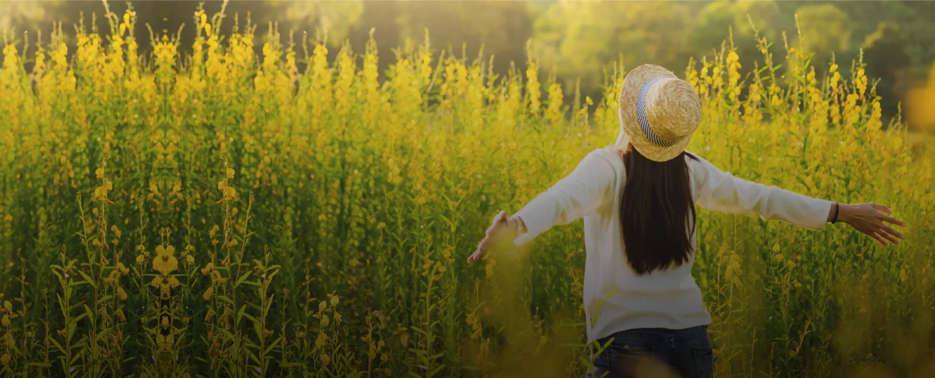 About Koncept Ambience